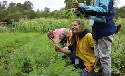 Noen få personr som jobber i et felt Noen få personr som jobber i et felt