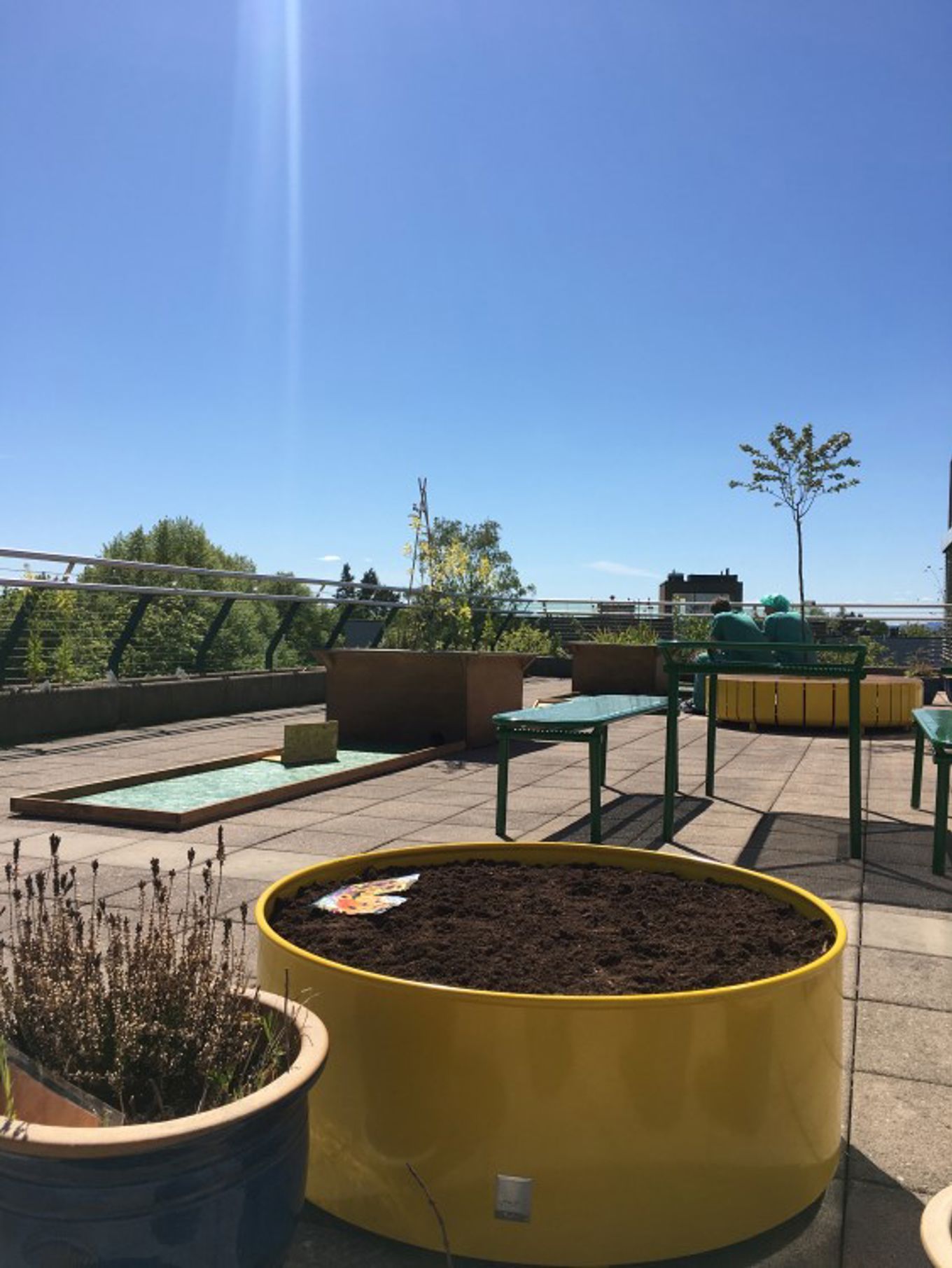 Bilde av takhagen på Ullevål Sykehus Bilde av takhagen på Ullevål Sykehus